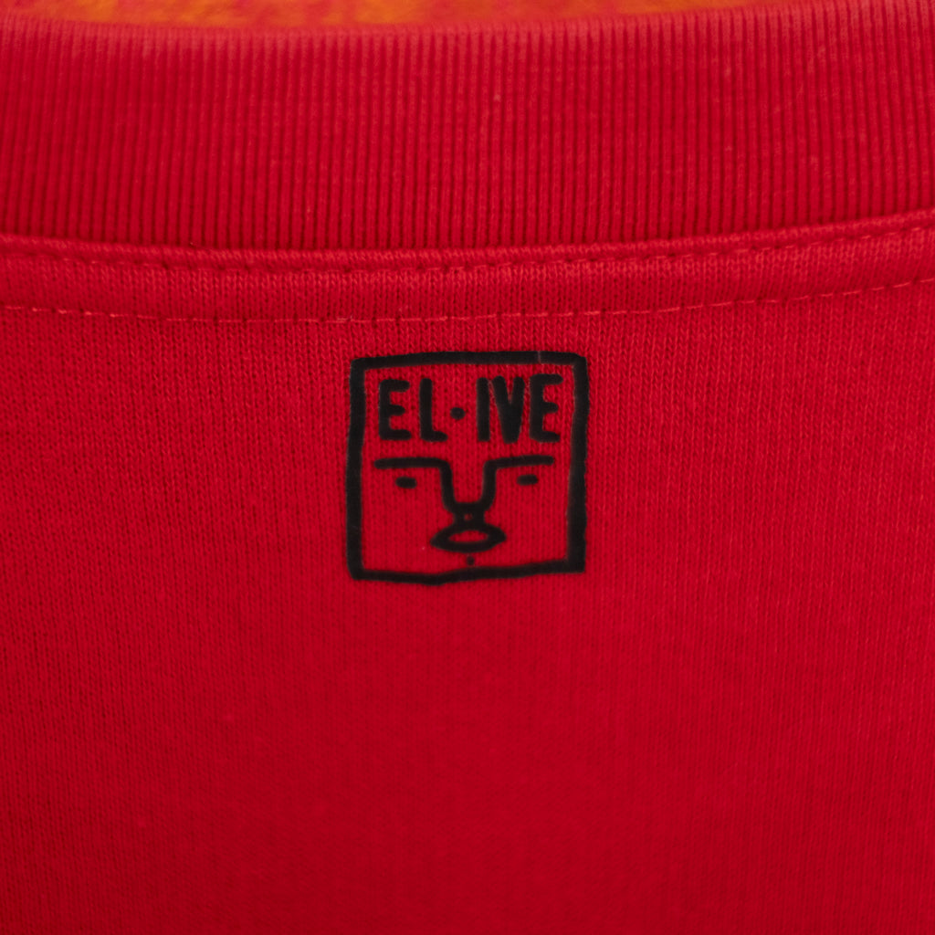 a big one: red sweatshirt, L